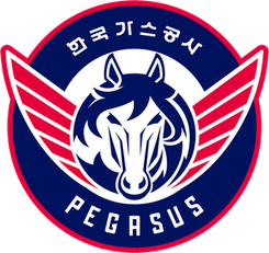 大邱石油公社飞马首发阵容